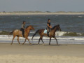 DSC03286.JPG