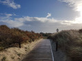 20171111_1029112.jpg