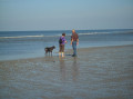 hundpaarstrand.jpg